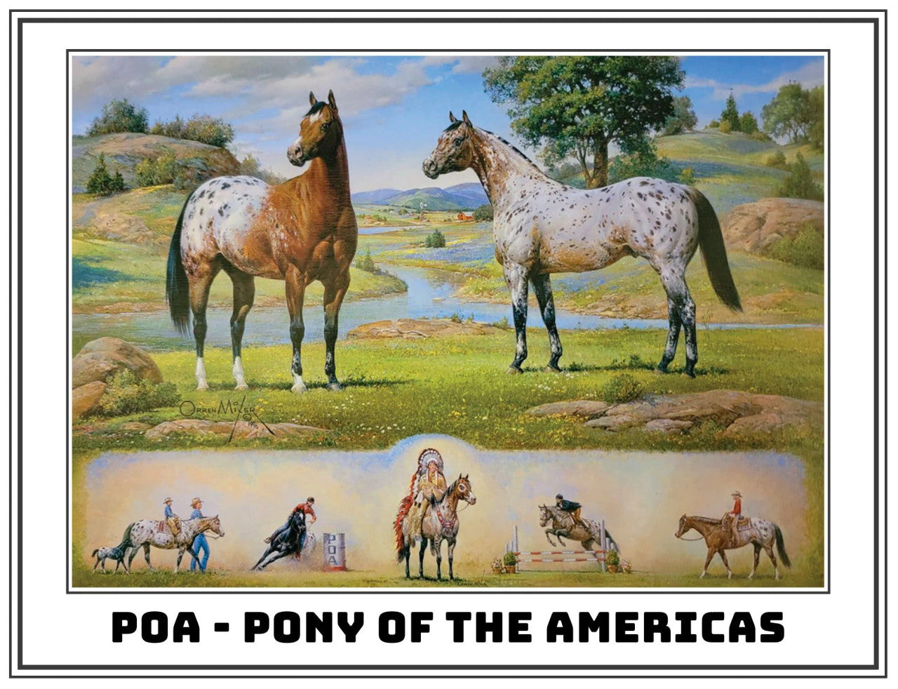 Breyer The Ideal Series | Pony of the Americas - sku to order - 117477