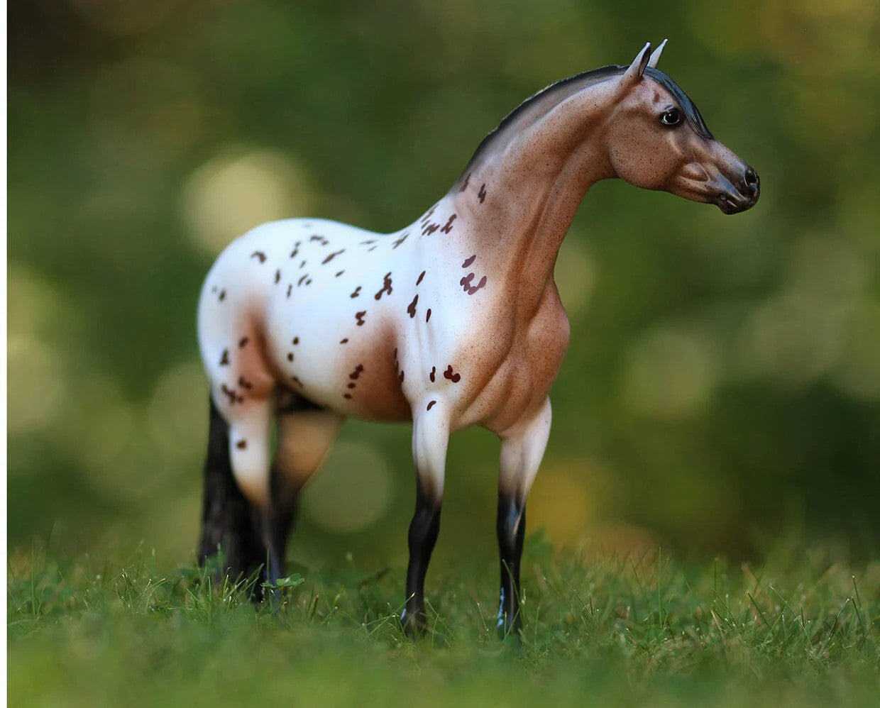 Breyer The Ideal Series | Pony of the Americas - sku to order - 117477