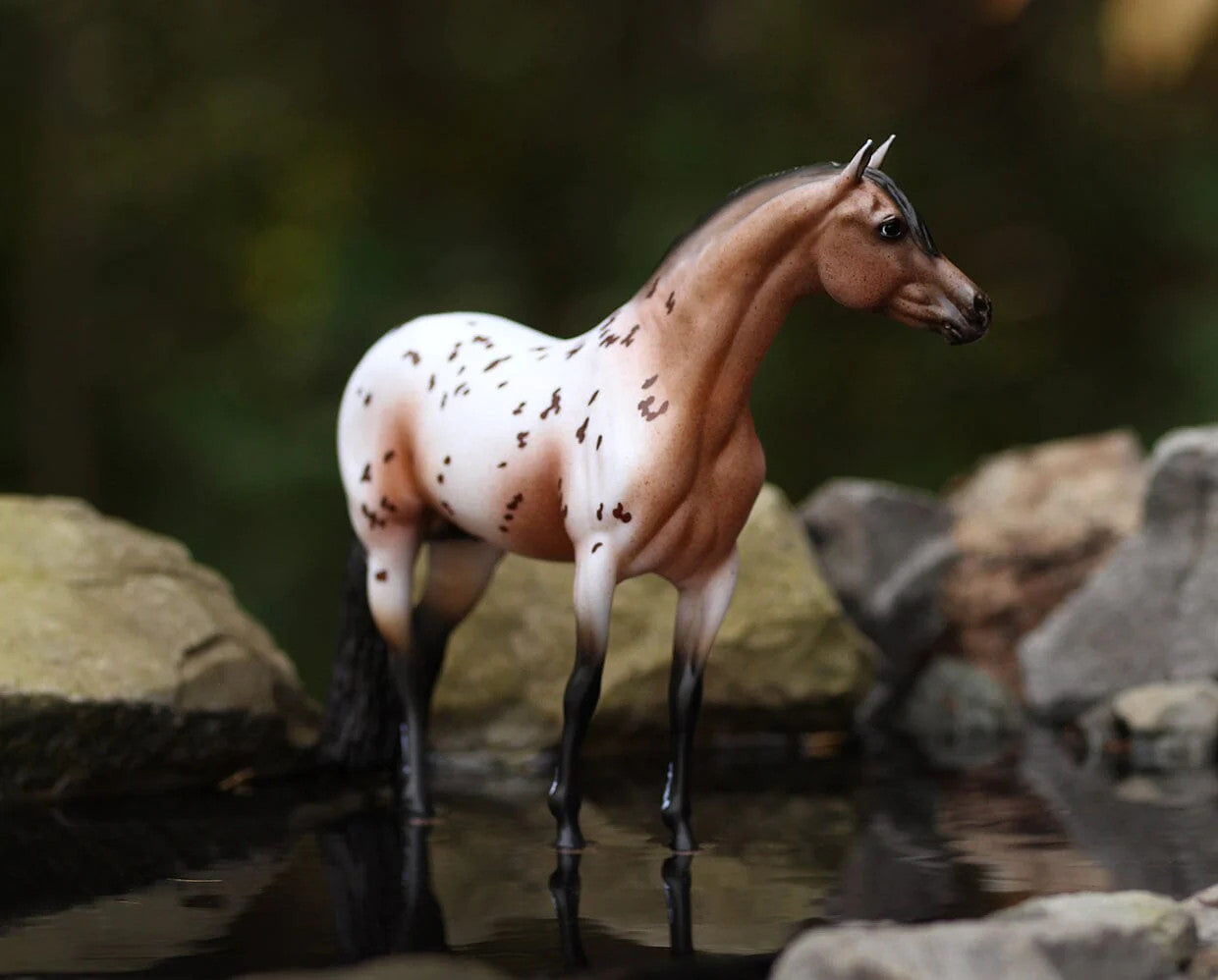 Breyer The Ideal Series | Pony of the Americas - sku to order - 117477