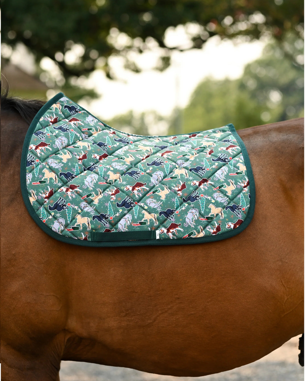 Dreamers & Schemers All Purpose Saddle Pad - The Naughty List