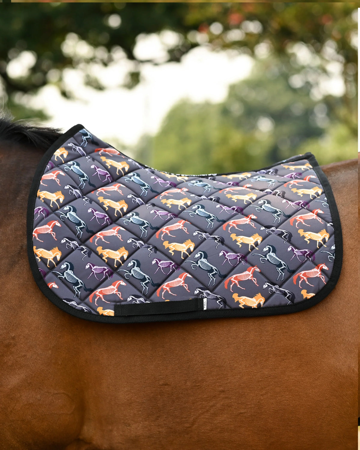 Dreamers & Schemers All Purpose Saddle Pad - The Pony Island Horse Skeletons
