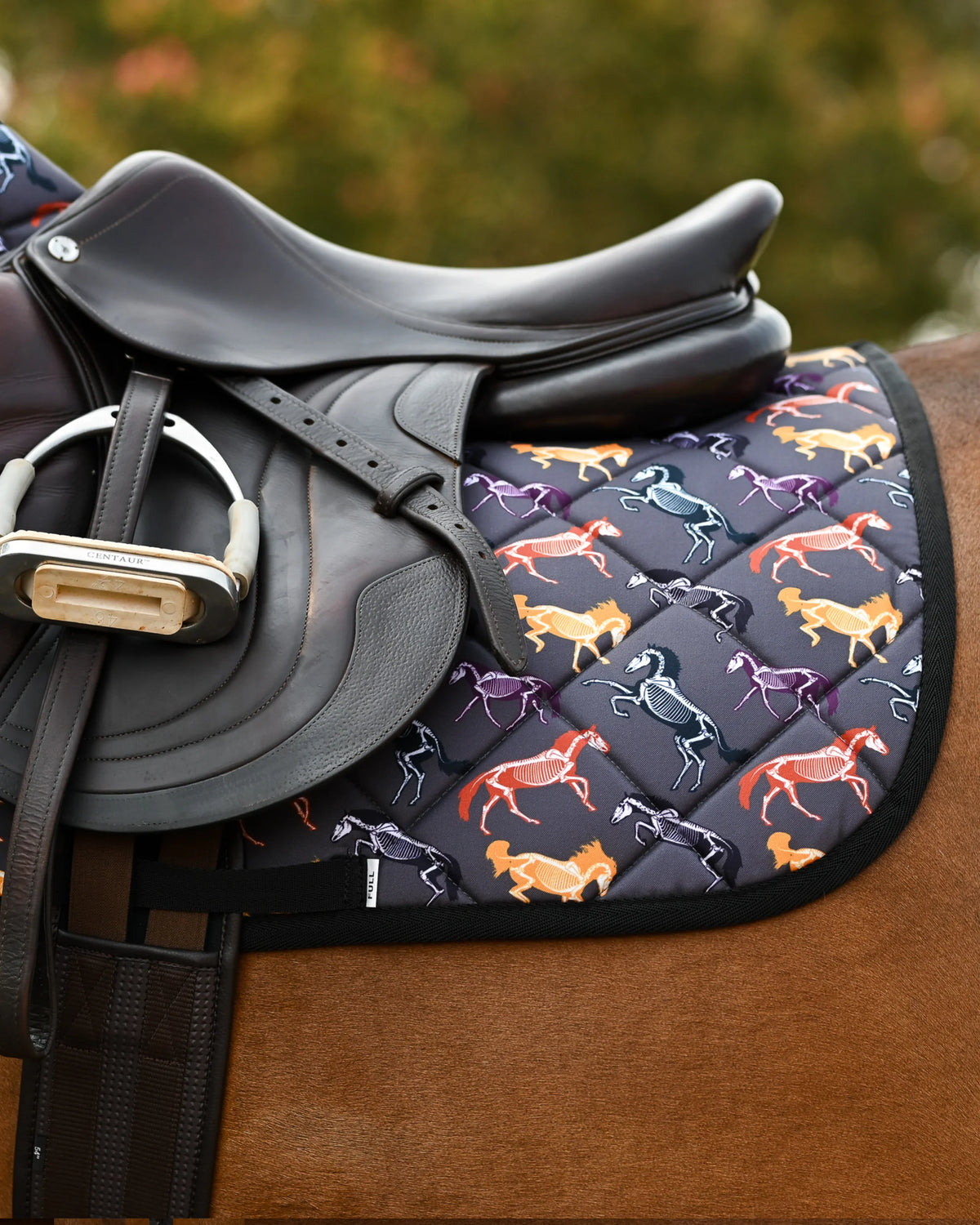 Dreamers & Schemers All Purpose Saddle Pad - The Pony Island Horse Skeletons