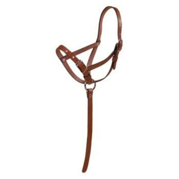 Tory Foal Slip Halter with Grab Strap - sku to order - 21041