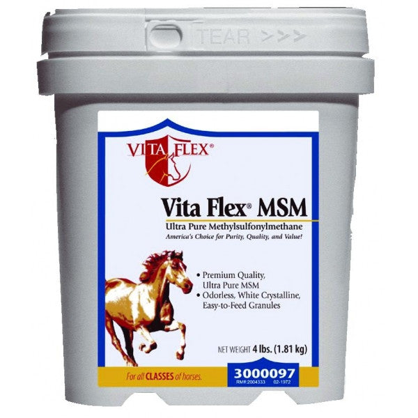 Vita Flex Pro MSM - main