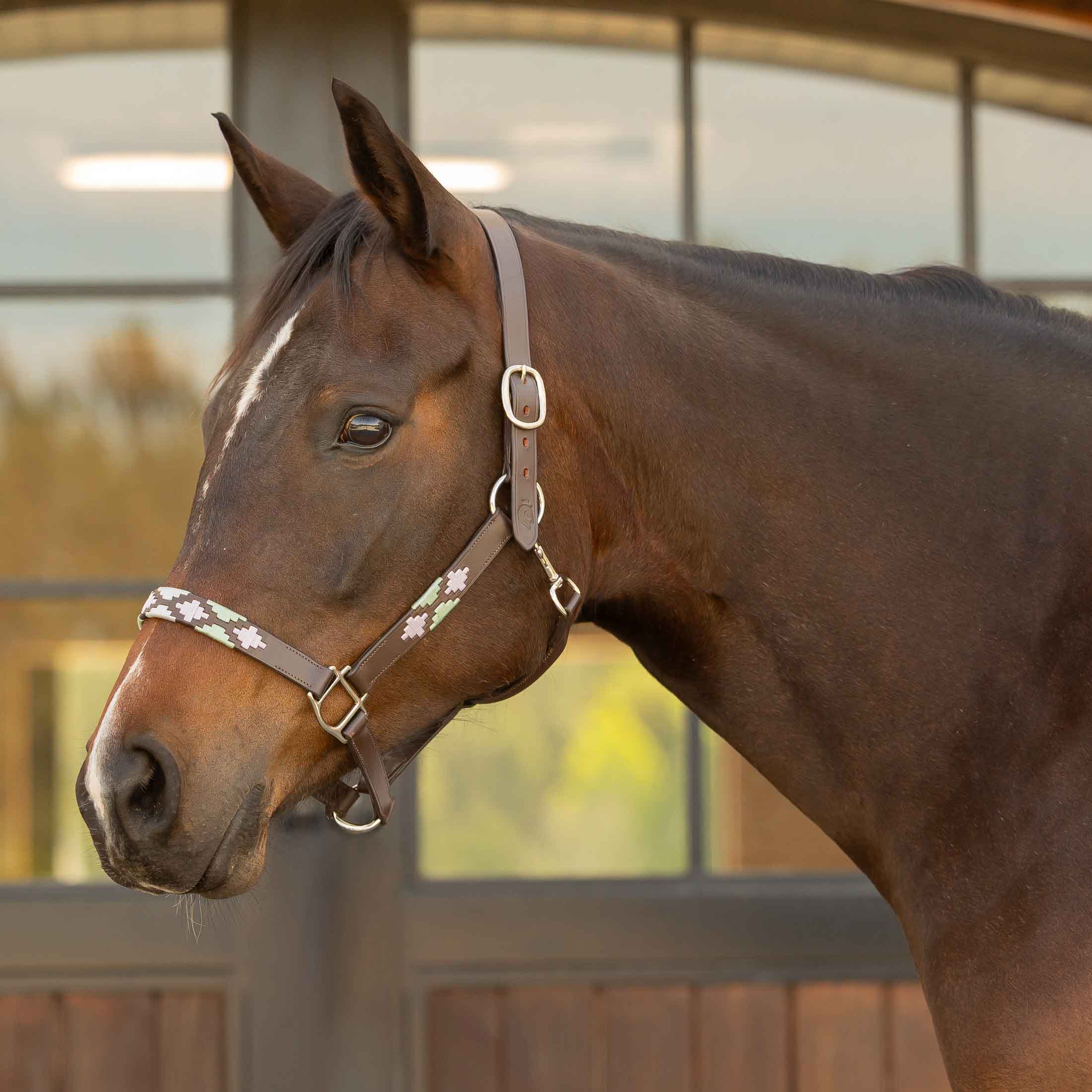 #color_Brown/Lavender/Misty Jade