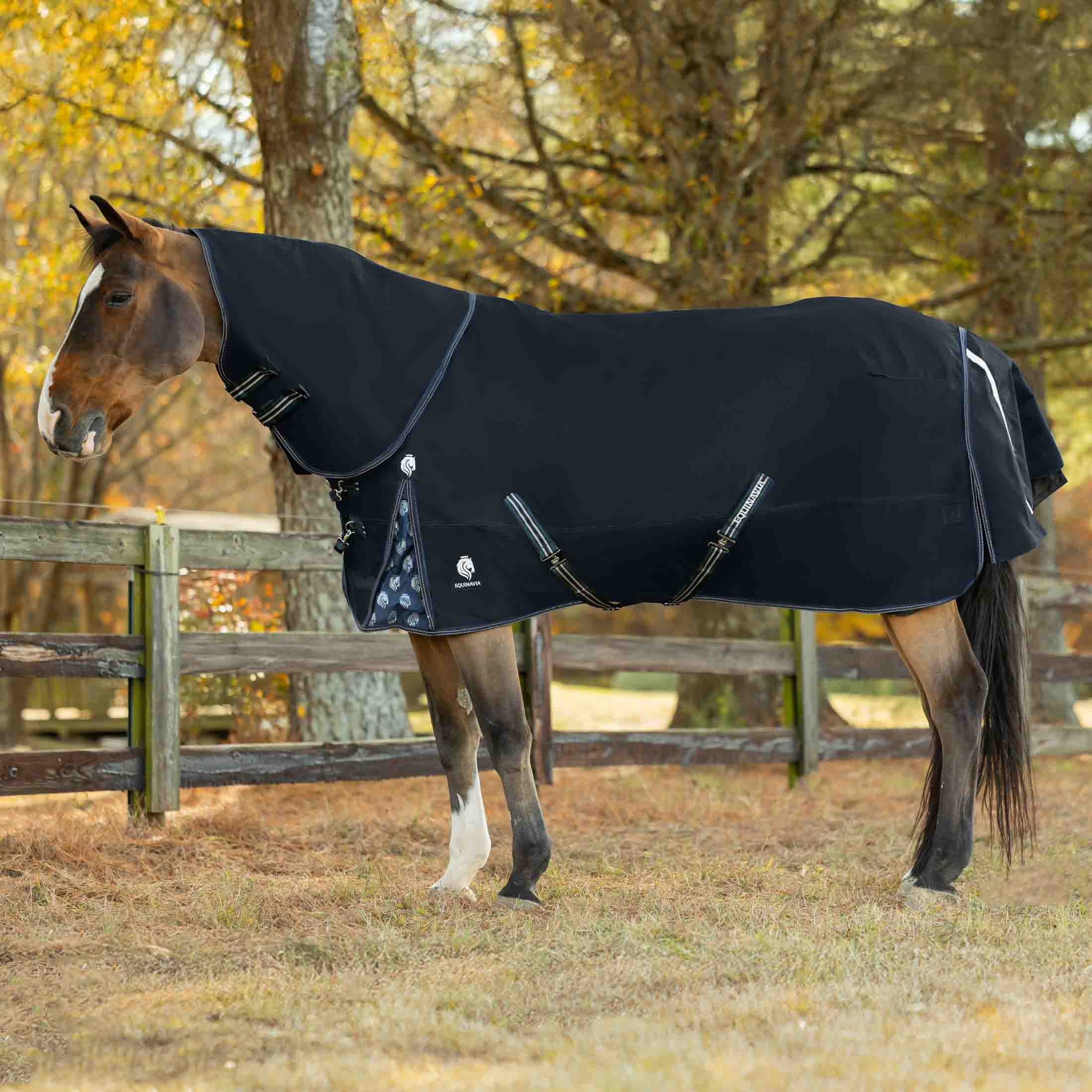 Equinavia Thunder 360 Detachable Neck Heavy Weight Turnout Blanket 300g