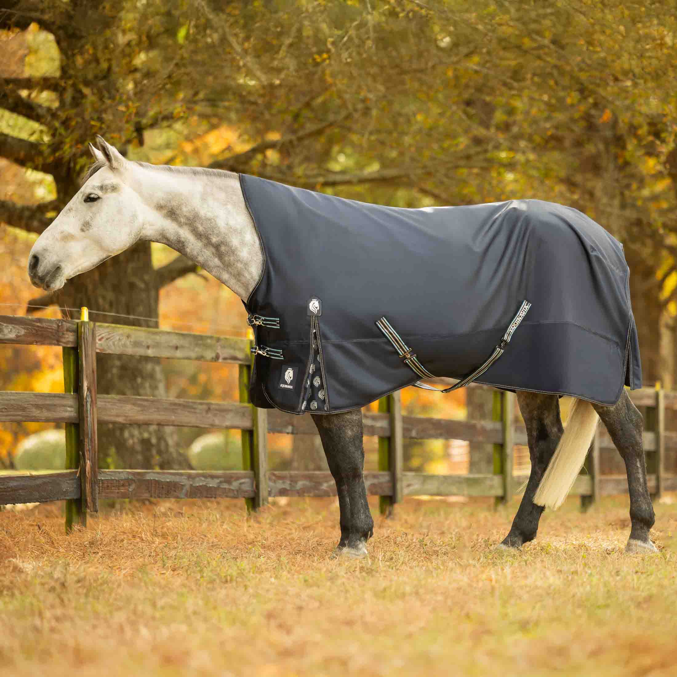Equinavia Arktis Extended Neck Heavy Weight Turnout Blanket 300g