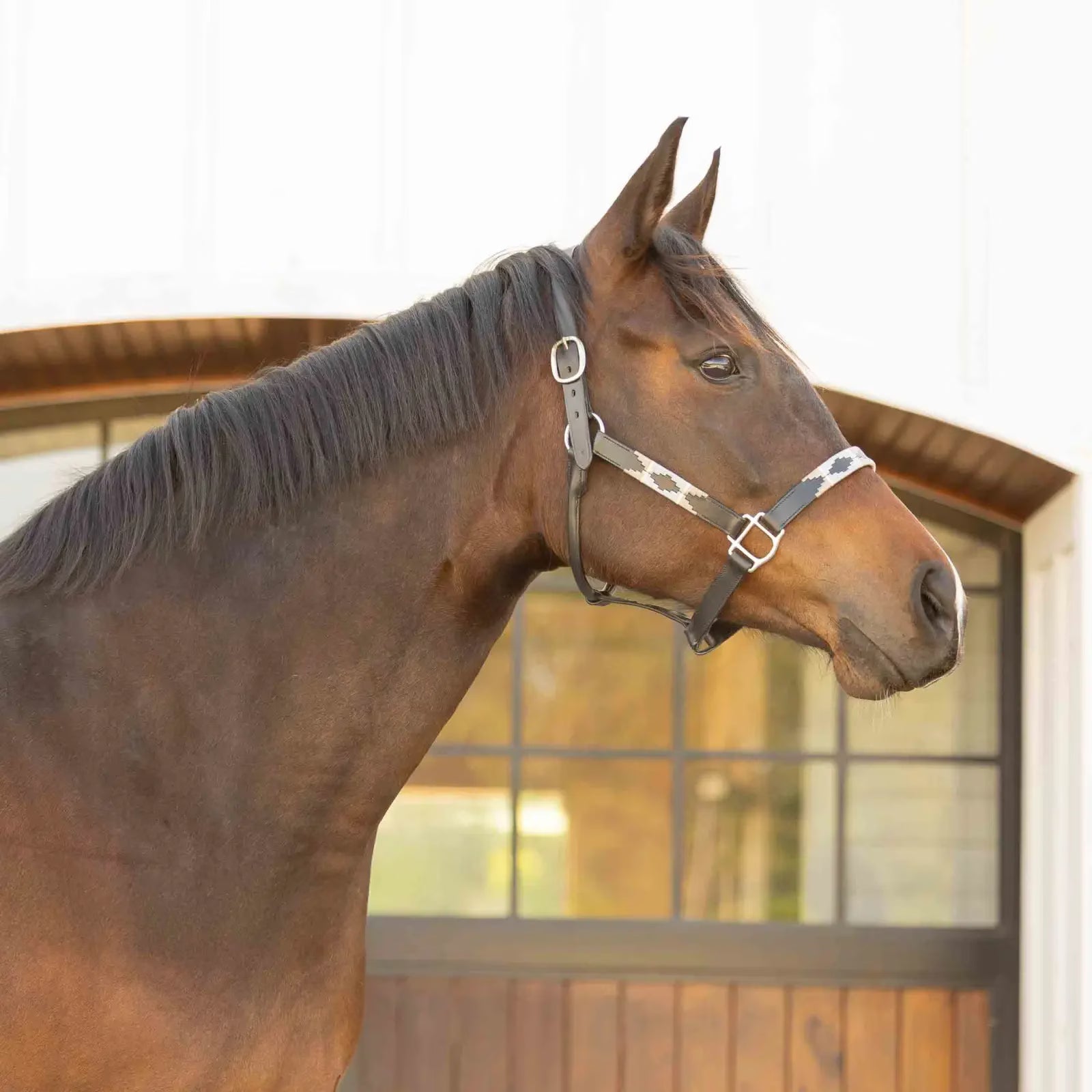 #color_Black/Rain Cloud