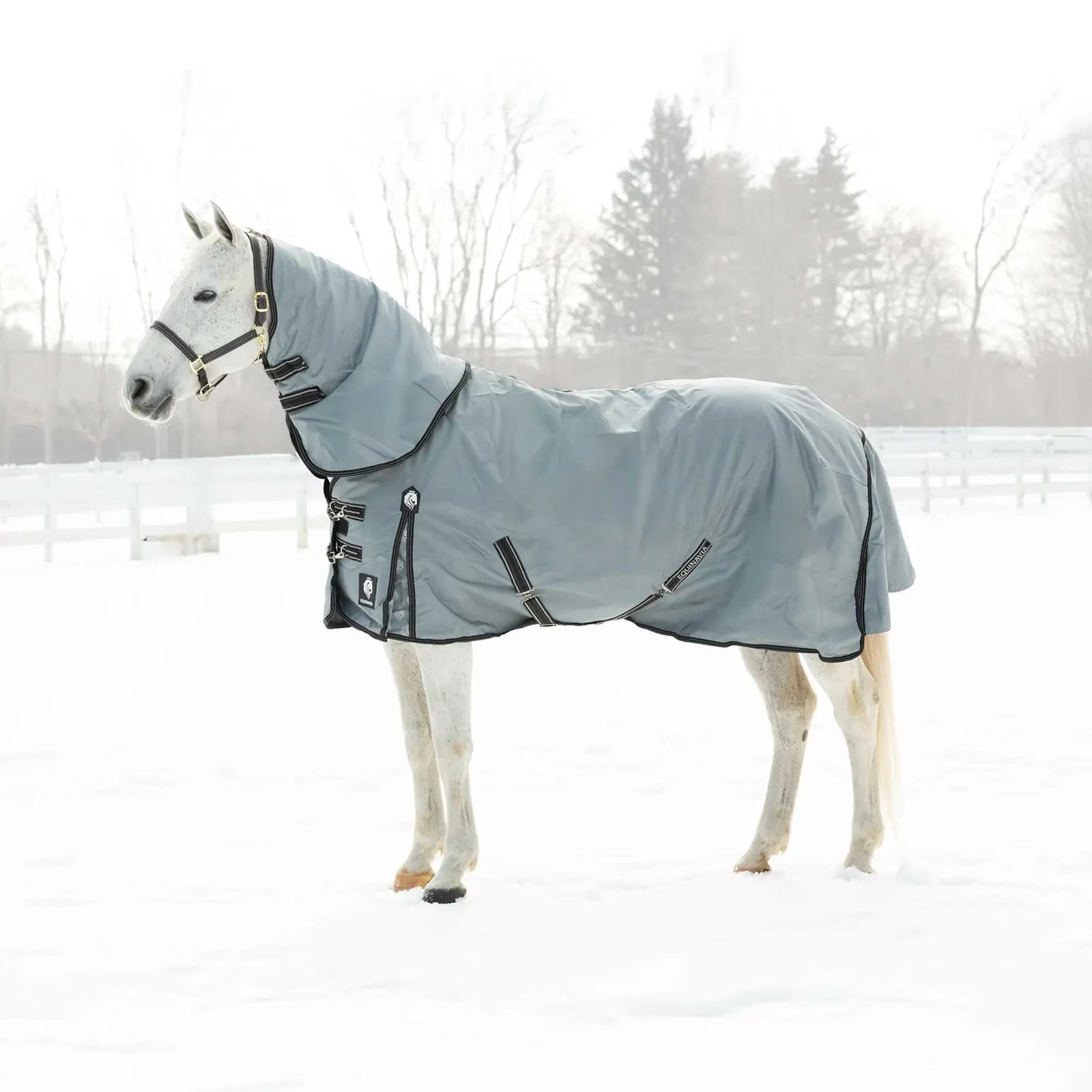 #color_pewter grey