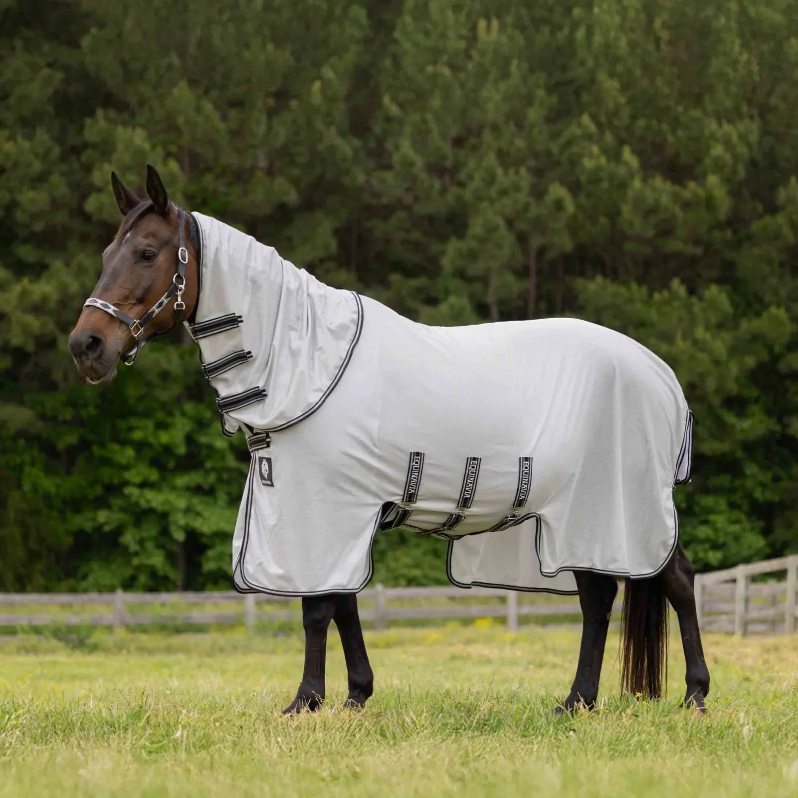 Equinavia Vern Full Protect Fly Sheet